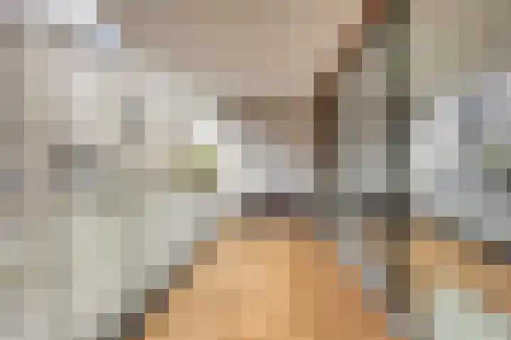 Werkerlaan 43 Zwolle thumbnail 21