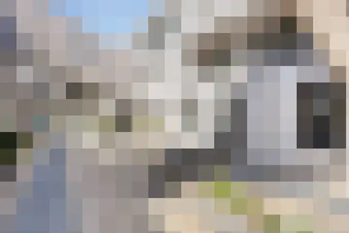 Werkerlaan 43 Zwolle thumbnail 24