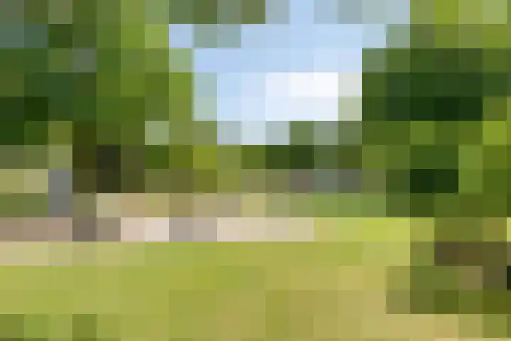 Werkerlaan 43 Zwolle thumbnail 29