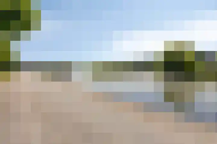 Werkerlaan 43 Zwolle thumbnail 34