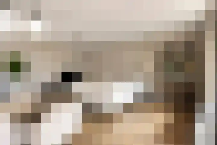 Werkerlaan 43 Zwolle thumbnail 6