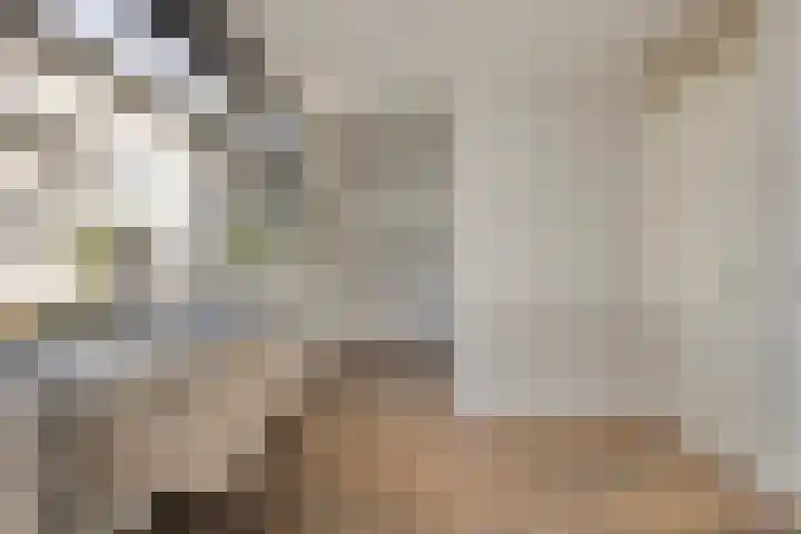 Werkerlaan 43 Zwolle thumbnail 7