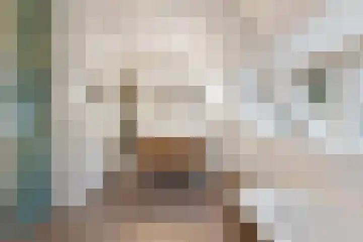 Wernerlaan 29 Hilversum thumbnail 33