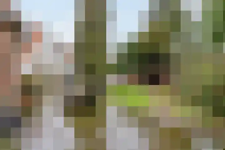Wernerlaan 29 Hilversum thumbnail 41
