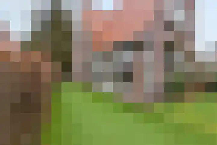Wernerlaan 29 Hilversum thumbnail 48