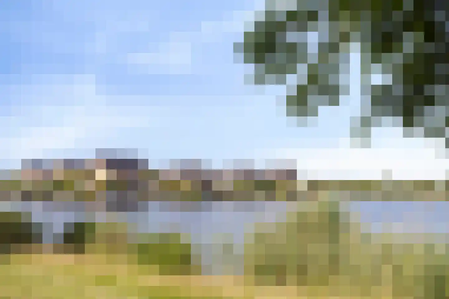 Werpanker 8 Almere thumbnail 28
