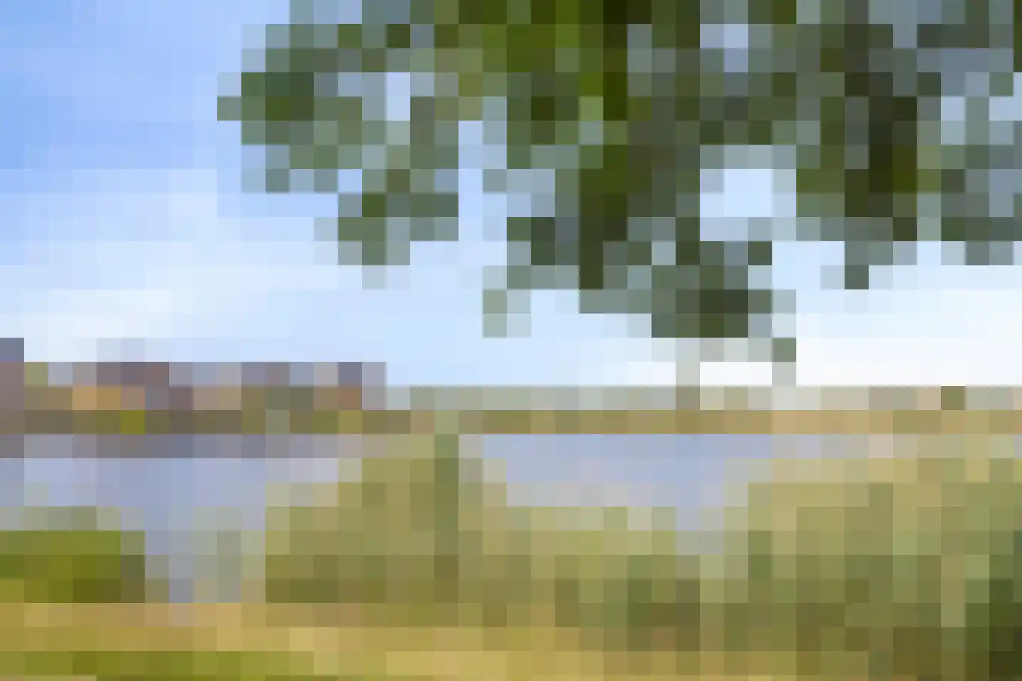 Werpanker 8 Almere thumbnail 29