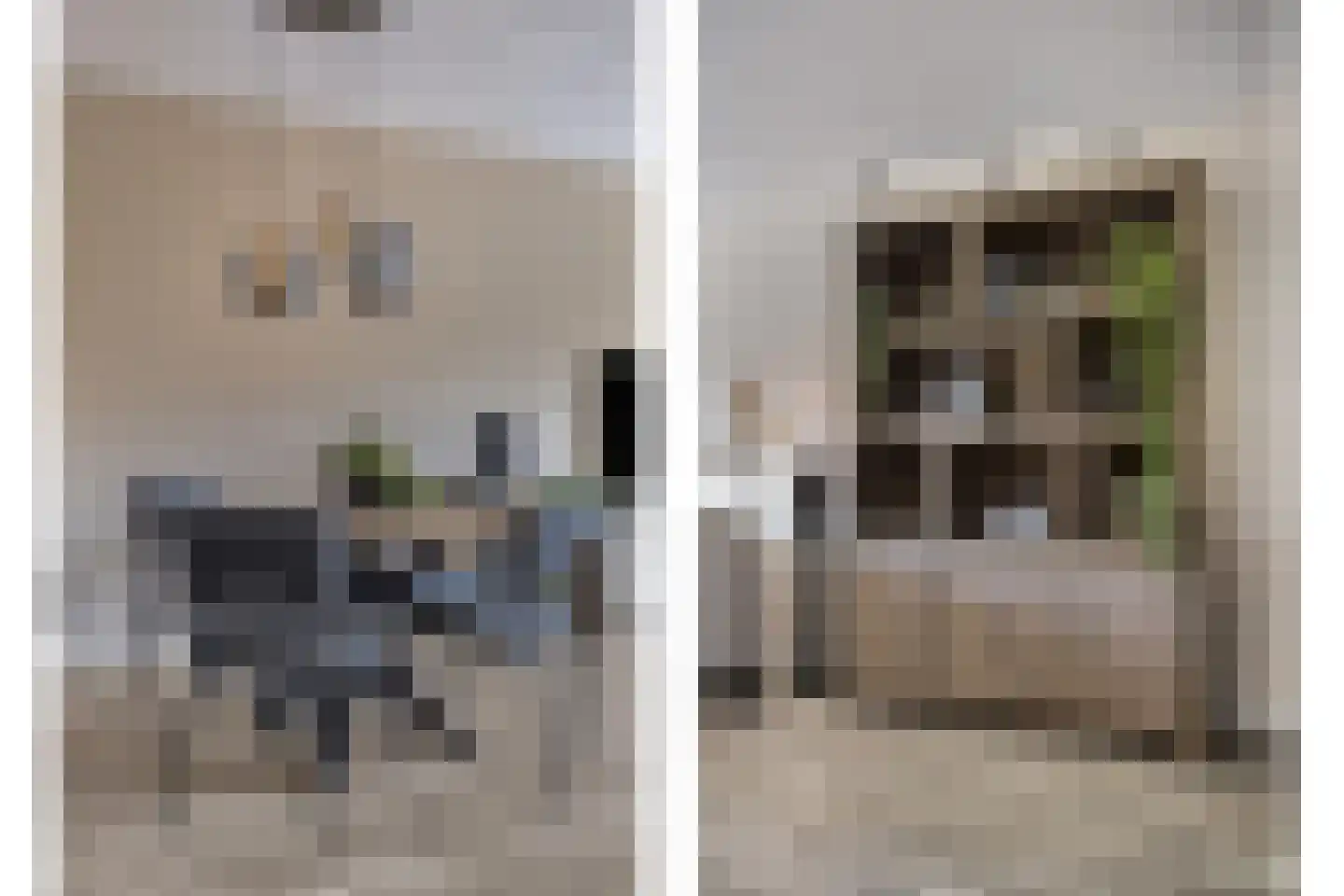 Werpanker 8 Almere thumbnail 5