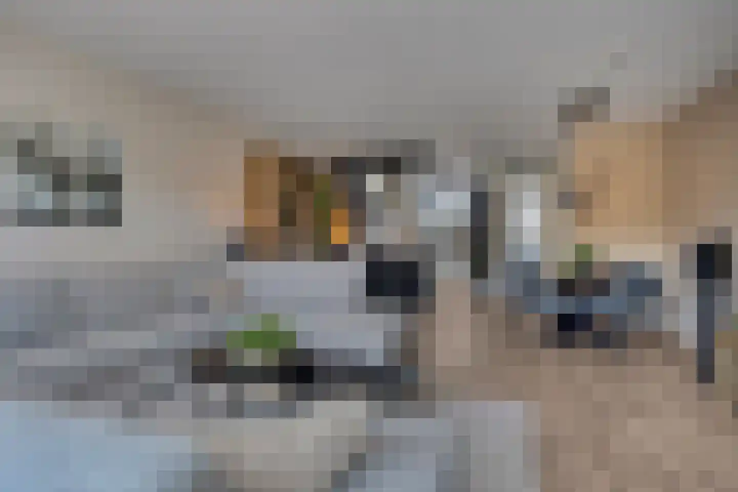 Werpanker 8 Almere thumbnail 8