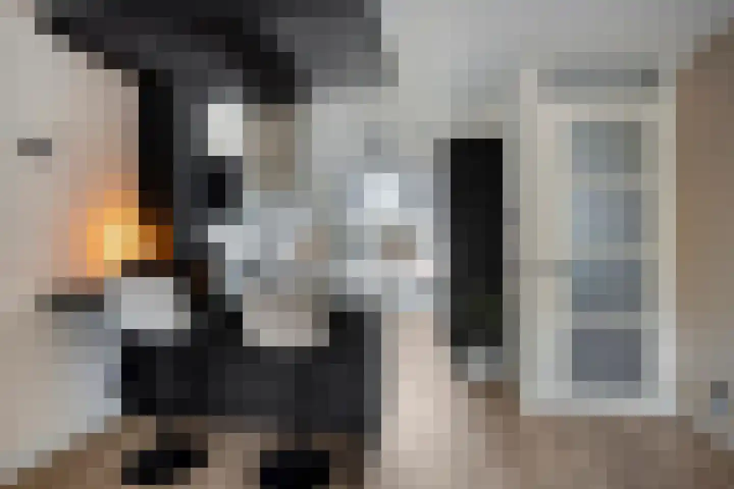Werpanker 8 Almere thumbnail 9