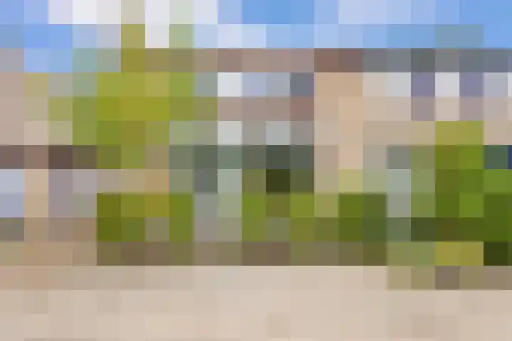 Wersakker 8 Mierlo