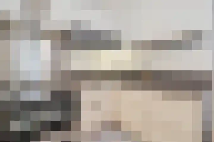 Wersakker 8 Mierlo thumbnail 15