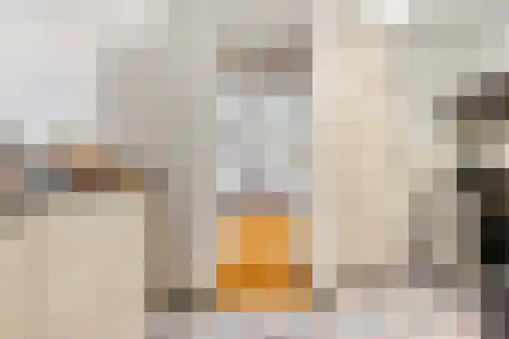 Wersakker 8 Mierlo thumbnail 17