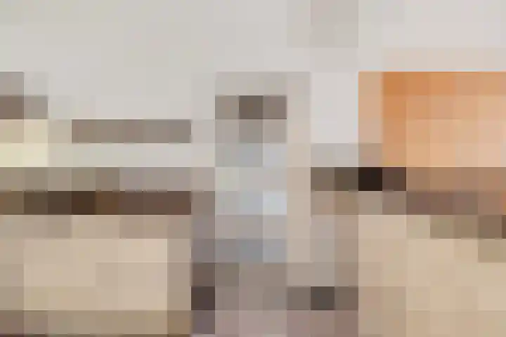 Wersakker 8 Mierlo thumbnail 18
