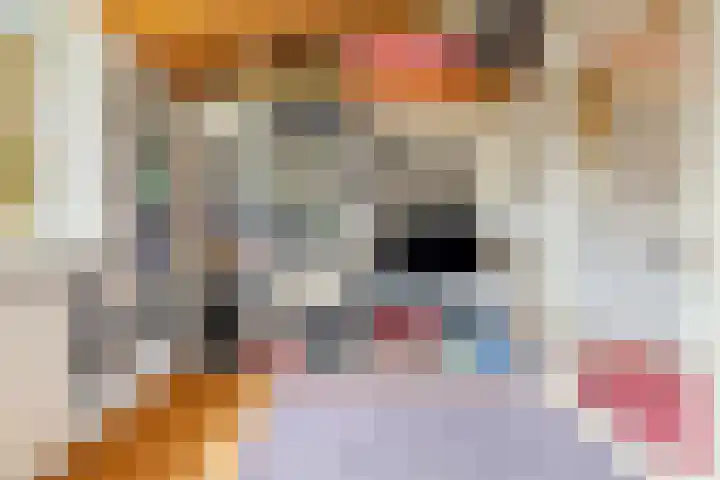 Wersakker 8 Mierlo thumbnail 25