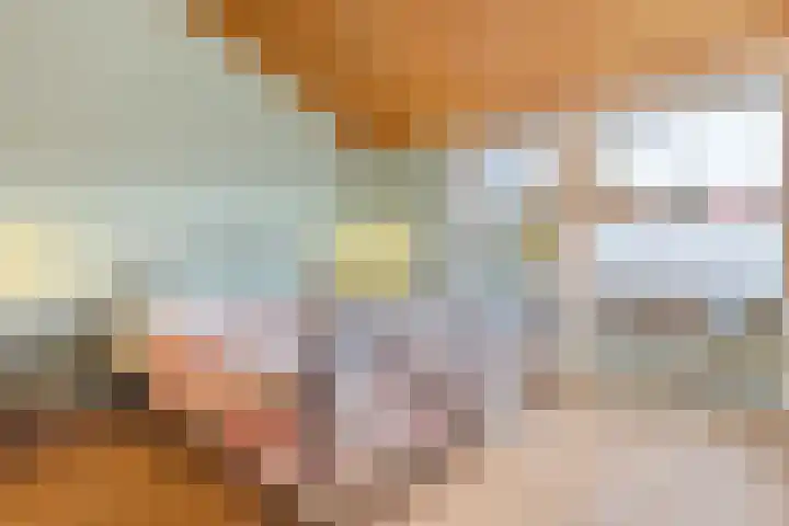 Wersakker 8 Mierlo thumbnail 26