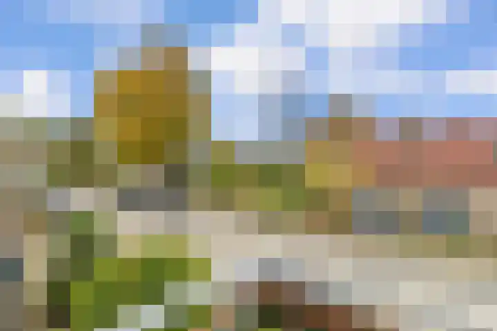 Wersakker 8 Mierlo thumbnail 28