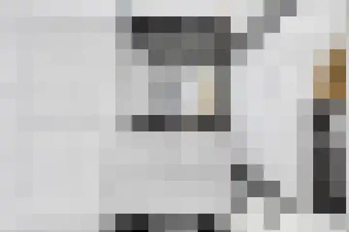 Wersakker 8 Mierlo thumbnail 33