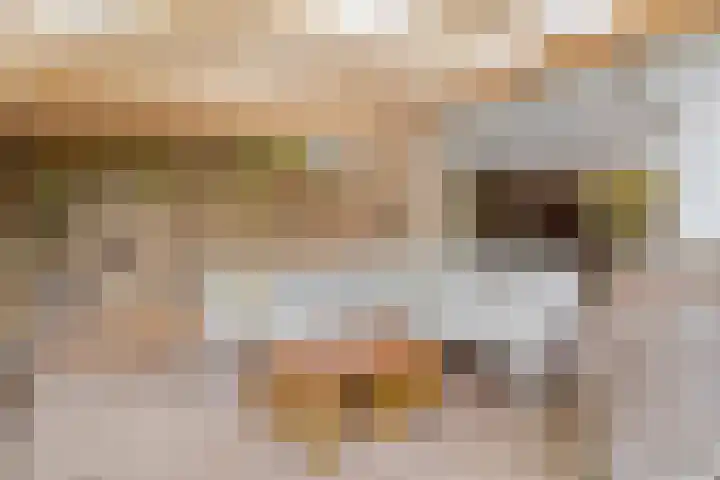 Wersakker 8 Mierlo thumbnail 37