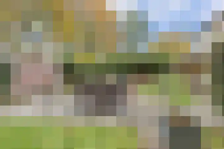 Wersakker 8 Mierlo thumbnail 39