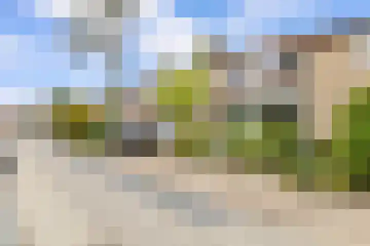 Wersakker 8 Mierlo thumbnail 42