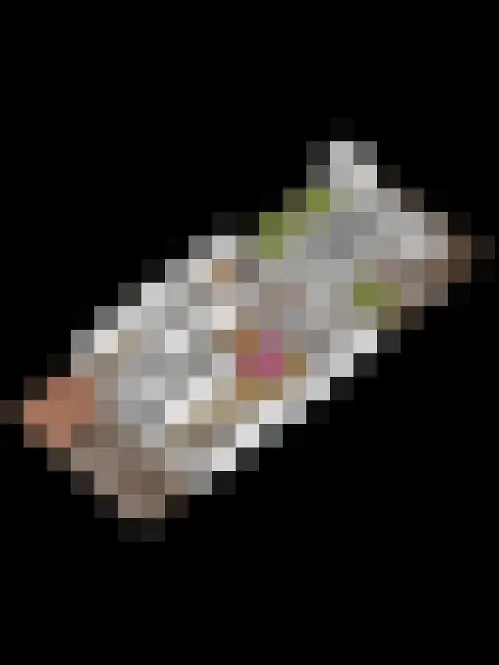 Wersakker 8 Mierlo thumbnail 44