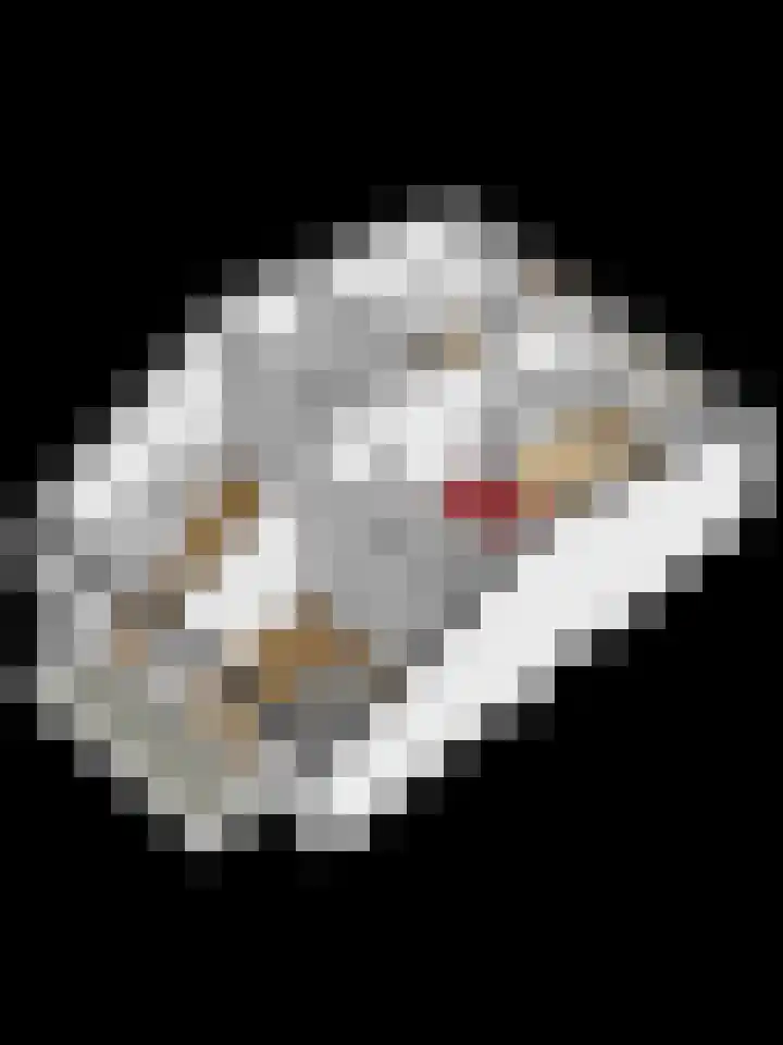 Wersakker 8 Mierlo thumbnail 48