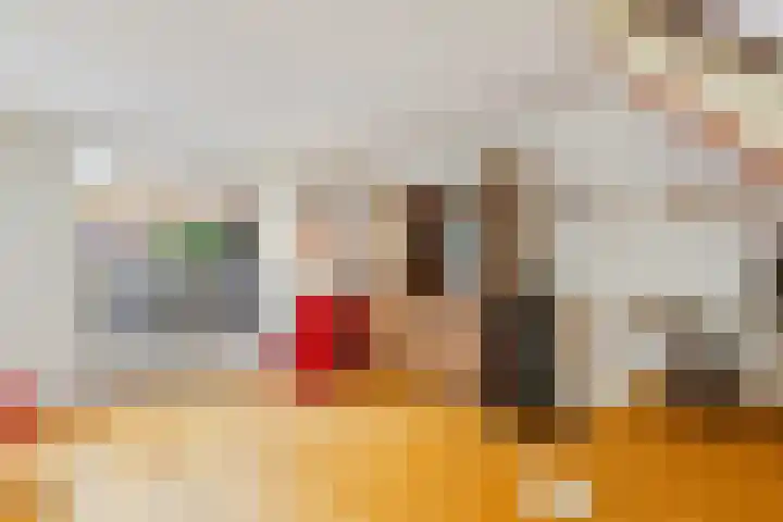 Wersakker 8 Mierlo thumbnail 8