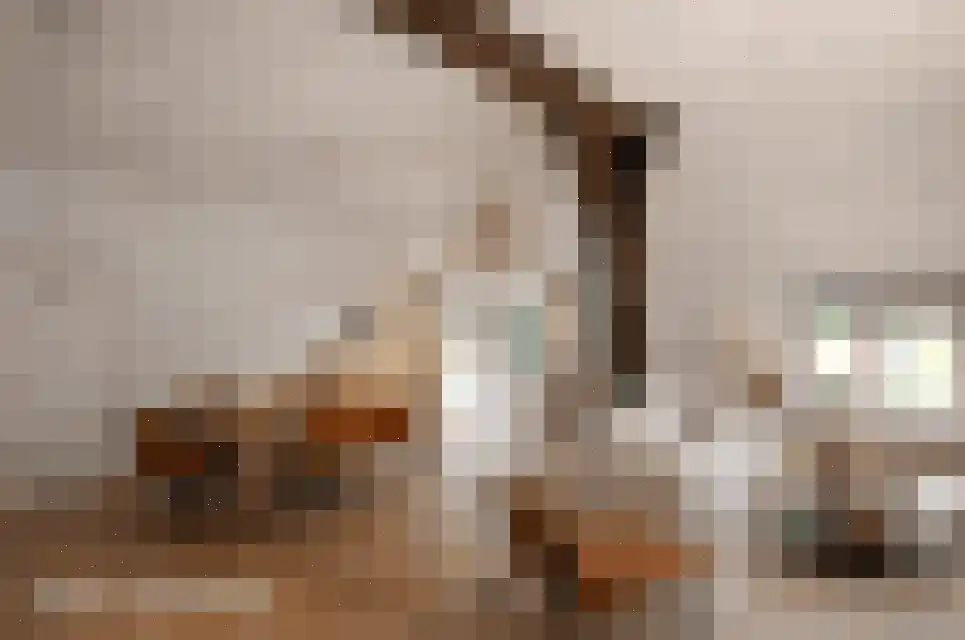 Werverdijk 18 Wapenveld thumbnail 10