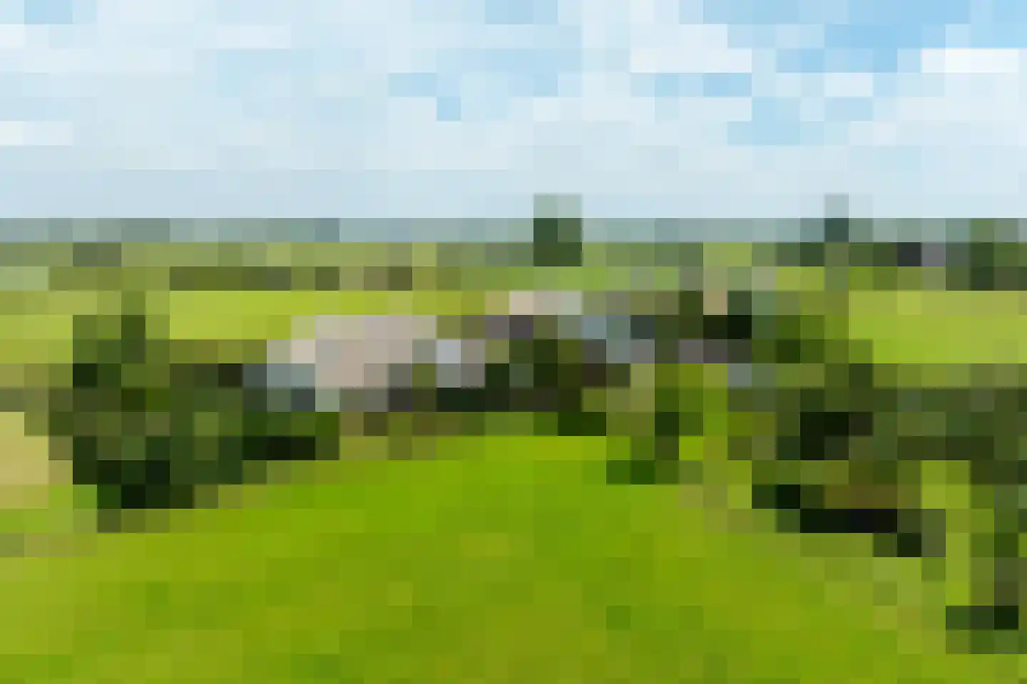 Werverdijk 18 Wapenveld thumbnail 31