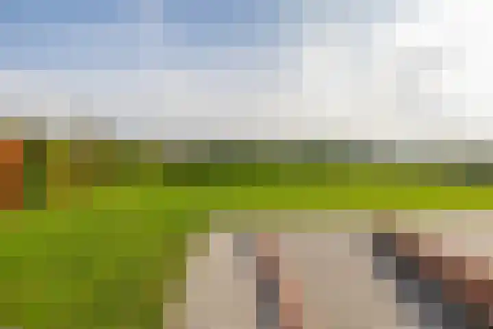 Weselseweg 16 Venlo thumbnail 39