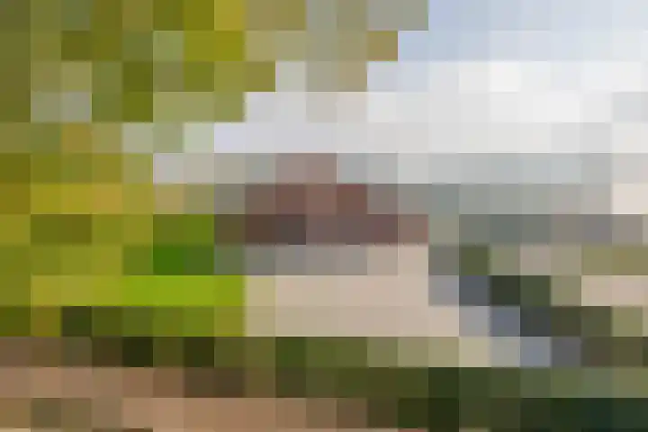 Weselseweg 16 Venlo thumbnail 4