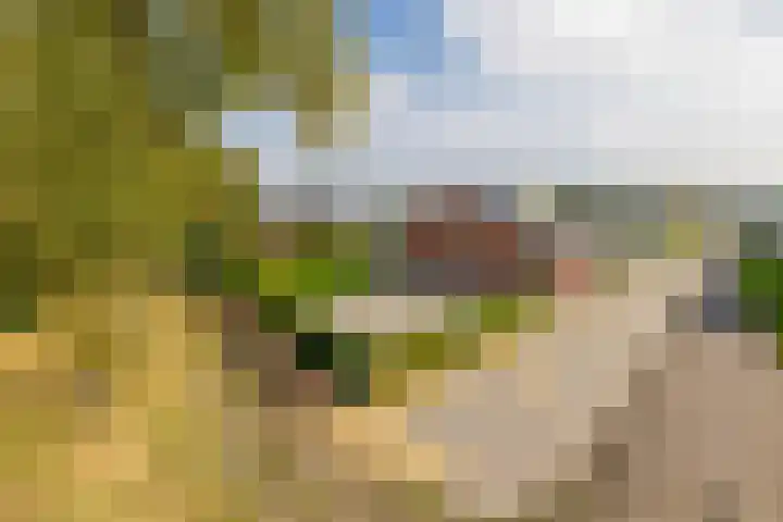 Weselseweg 16 Venlo thumbnail 61