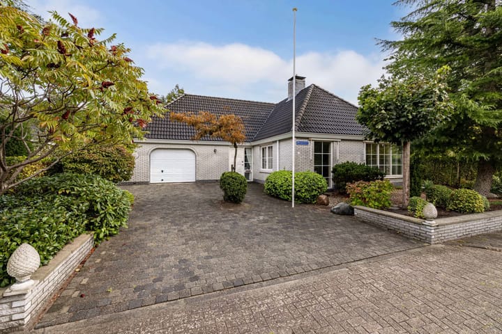 Wespendief 4 in Tollebeek foto