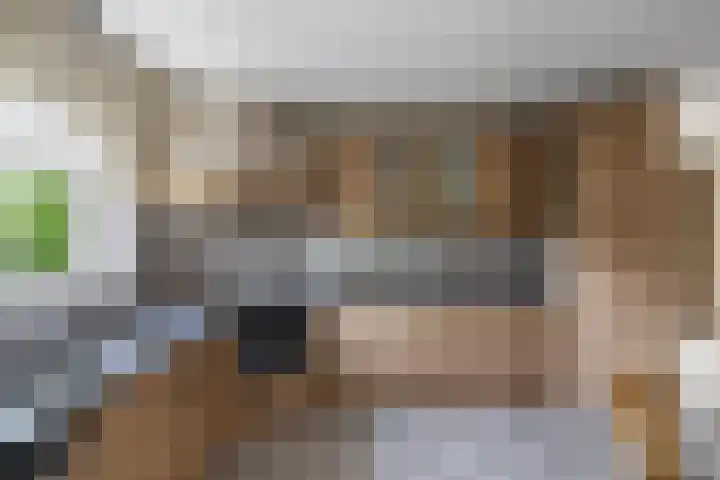 Wespendief 4 Tollebeek thumbnail 13
