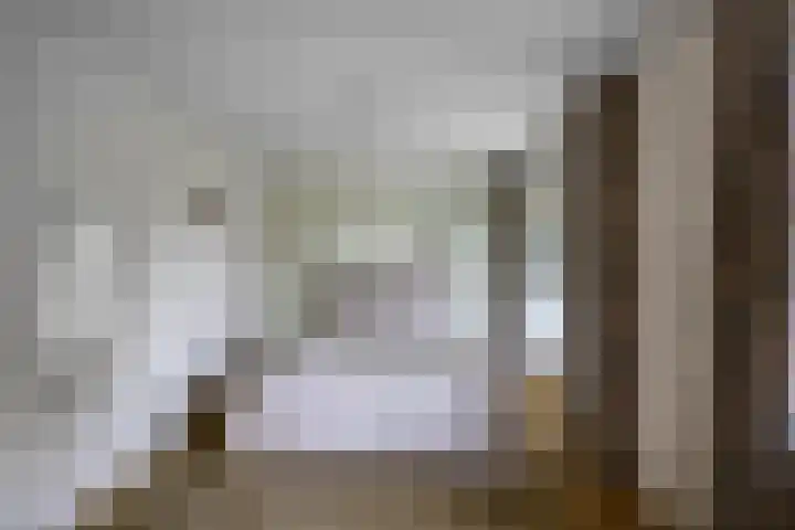 Wespendief 4 Tollebeek thumbnail 14