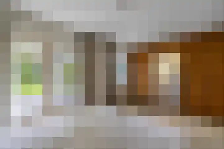 Wespendief 4 Tollebeek thumbnail 15