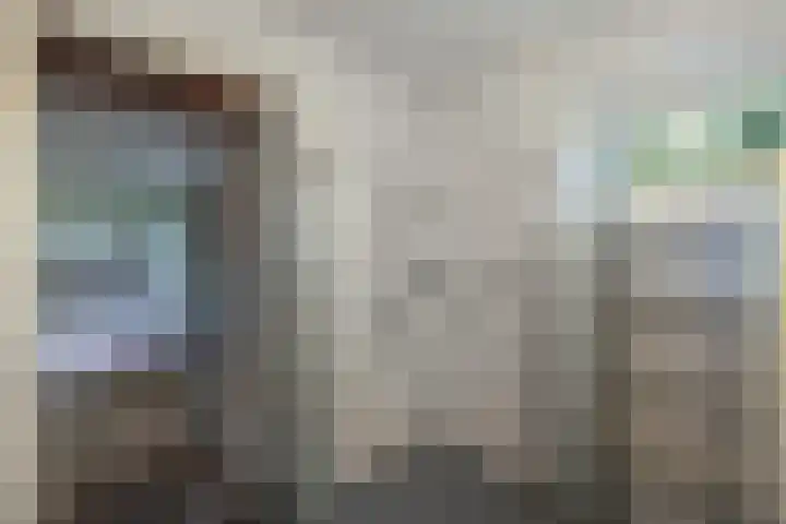 Wespendief 4 Tollebeek thumbnail 18
