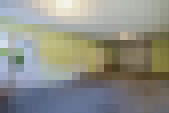 Wespendief 4 Tollebeek thumbnail 21