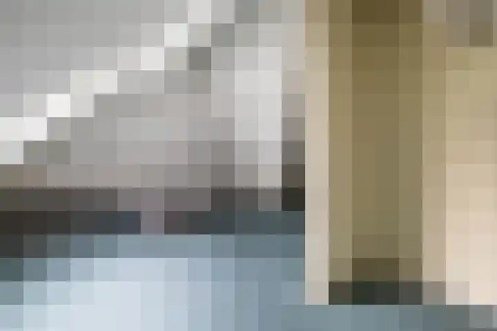 Wespendief 4 Tollebeek thumbnail 26