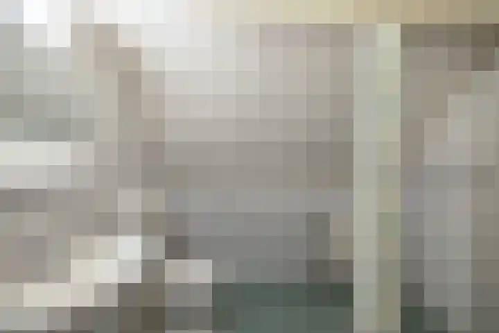 Wespendief 4 Tollebeek thumbnail 29