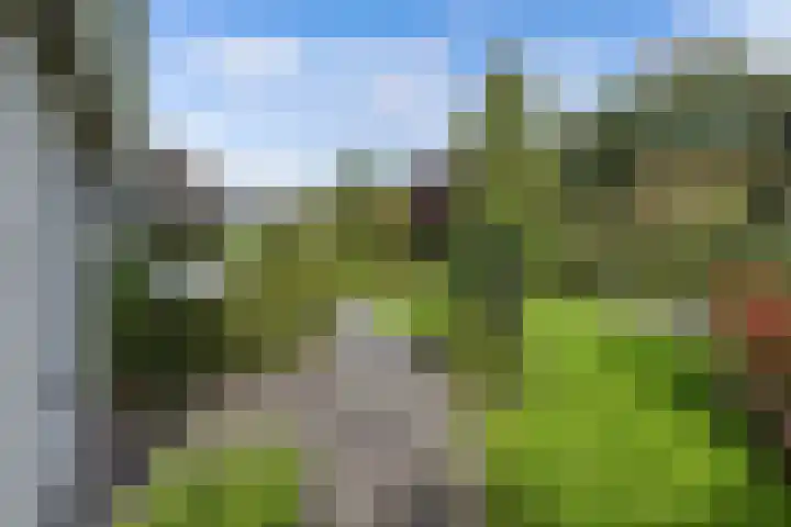 Wespendief 4 Tollebeek thumbnail 35