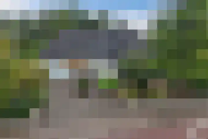 Wespendief 4 Tollebeek thumbnail 47