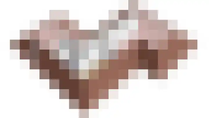 Wespendief 4 Tollebeek thumbnail 54
