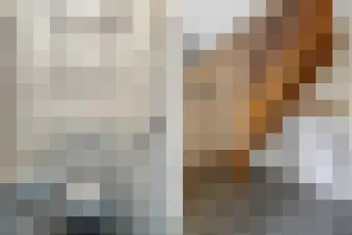 Wespendief 4 Tollebeek thumbnail 7