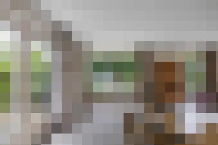 Wespendief 4 Tollebeek thumbnail 9