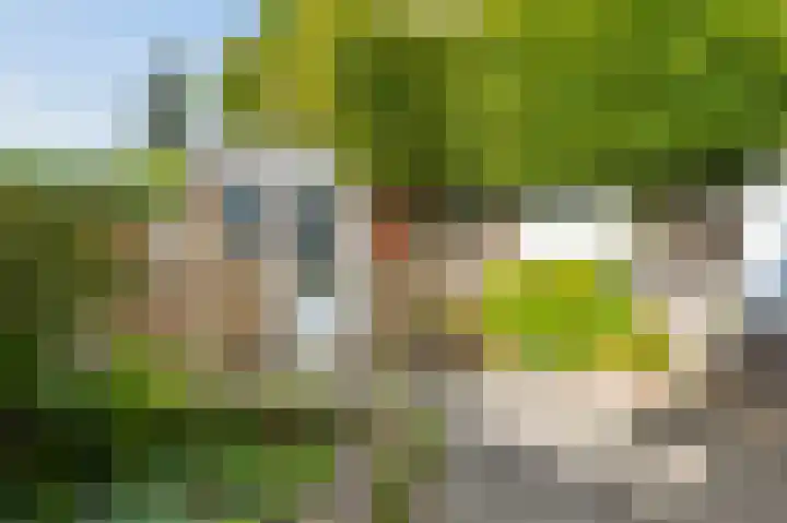 Wesselinusstraat 5 Beek thumbnail 18