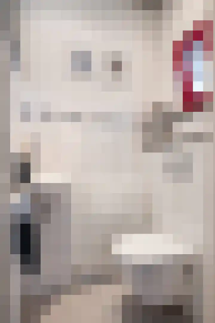 Wesselinusstraat 5 Beek thumbnail 7