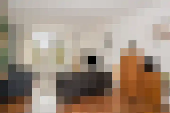 Wesselinusstraat 5 Beek thumbnail 8