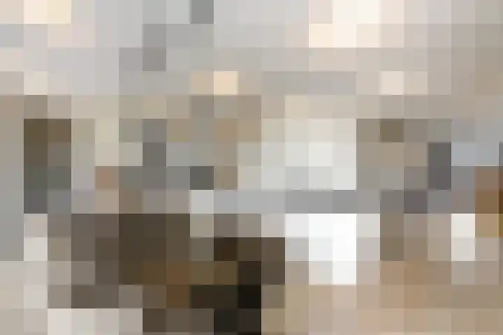 West 60 Buitenpost thumbnail 10